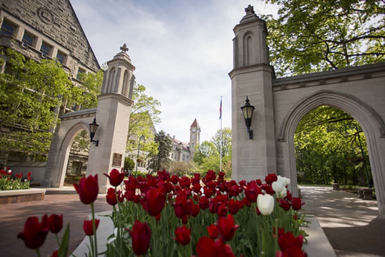 Sample gates with red and white tulips
